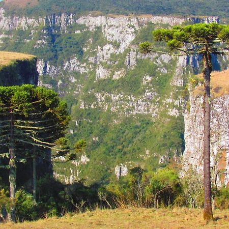 Fazenda Santa Rita Turismo Rural ボン・ジャルジン・ダ・セーハ エクステリア 写真